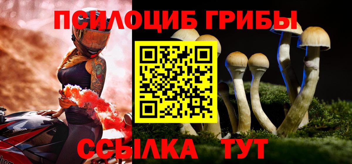 Галлюциногенные грибы Cubensis  Вход с VPN  Протвино 